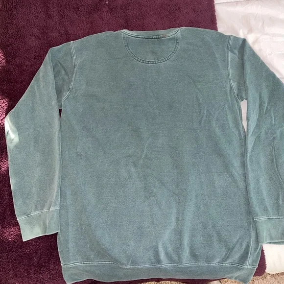 Comfort Colors Alpha Xi Delta (AXiD) crewneck - Picture 2 of 9